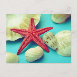 seashell print postcard