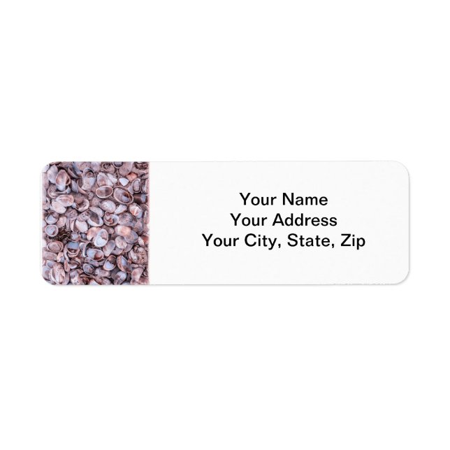 Seashell Return Address Lables (Front)