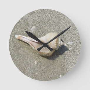 Seashell Round Clock
