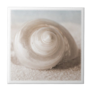 Seashell Sand Beach - Tropical Shells Template Tile