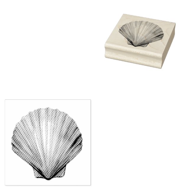 Seashell  ,Scallop Shell ,Shell Rubber Stamp (Stamped)