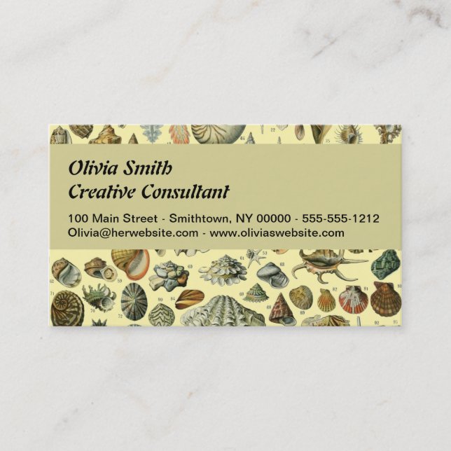 Seashell Shell Mollusk Clam Elegant Classic Art Business Card (Front)