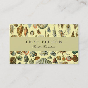 Seashell Shell Mollusk Clam Elegant Classic Art Business Card