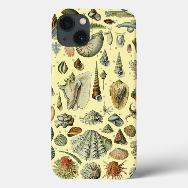 Seashell Shell Mollusk Clam Elegant Classic Art Case-Mate iPhone Case (Back)