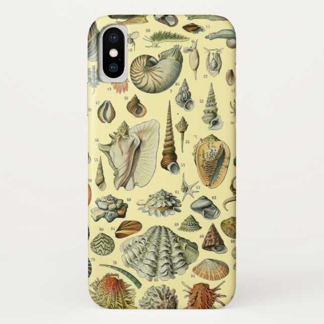 Seashell Shell Mollusk Clam Elegant Classic Art Case-Mate iPhone Case (Back)