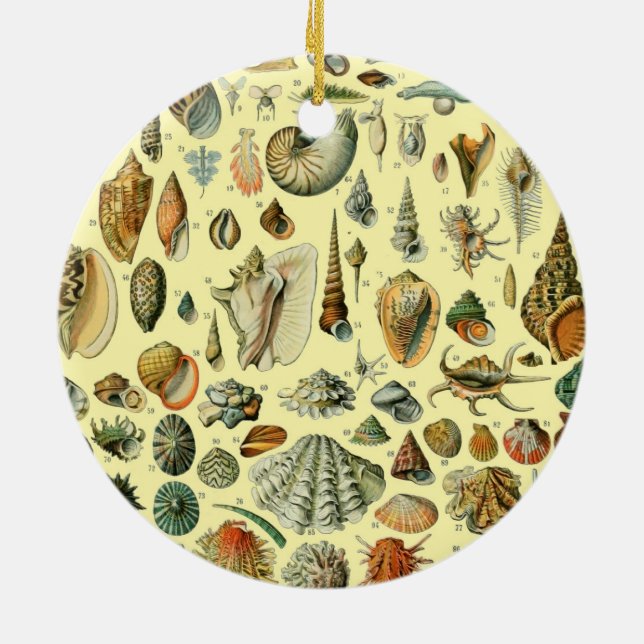 Seashell Shell Mollusk Clam Elegant Classic Art Ceramic Tree Decoration (Back)