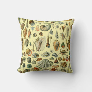 Seashell Shell Mollusk Clam Elegant Classic Art Cushion