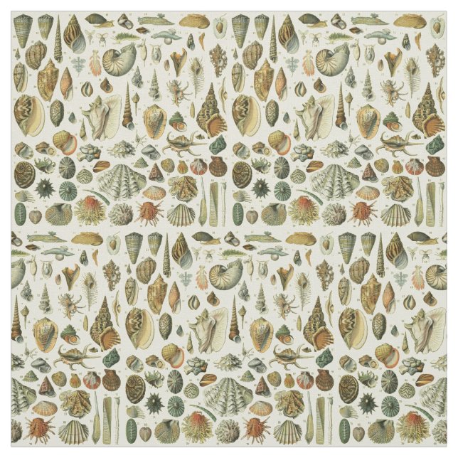 Seashell Shell Mollusk Clam Elegant Classic Art Fabric (Swatch)