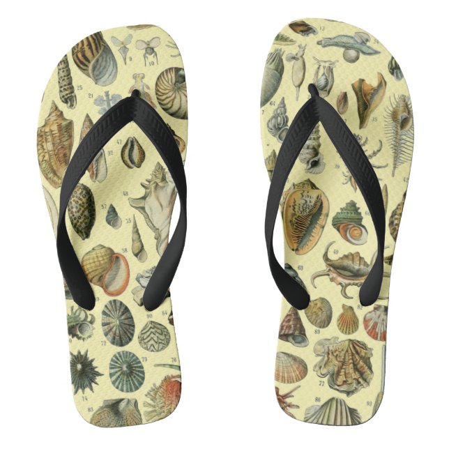 Seashell Shell Mollusk Clam Elegant Classic Art Flip Flops (Footbed)