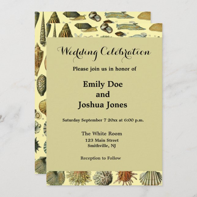 Seashell Shell Mollusk Clam Elegant Classic Art Invitation (Front/Back)