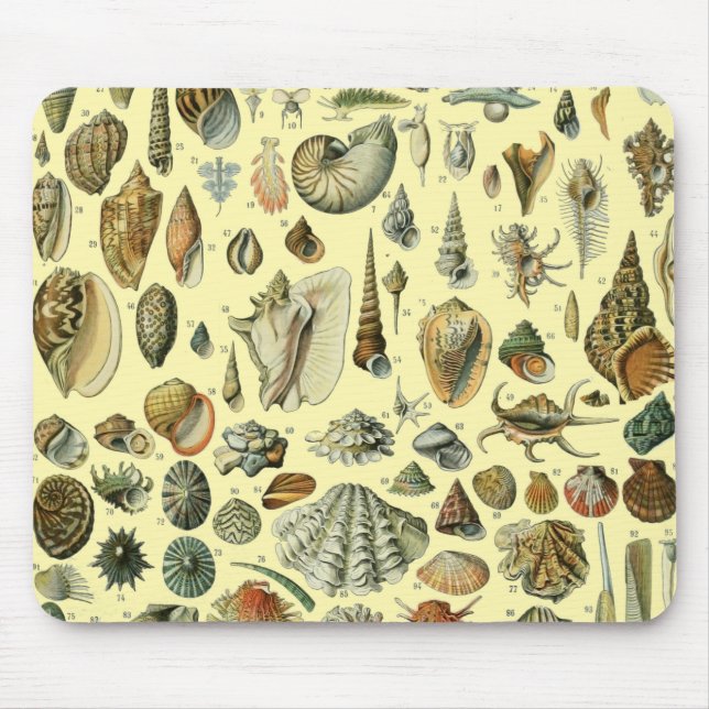 Seashell Shell Mollusk Clam Elegant Classic Art Mouse Mat (Front)