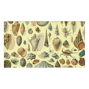 Seashell Shell Mollusk Clam Elegant Classic Art Name Tag