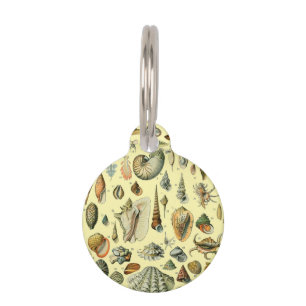 Seashell Shell Mollusk Clam Elegant Classic Art Pet Tag