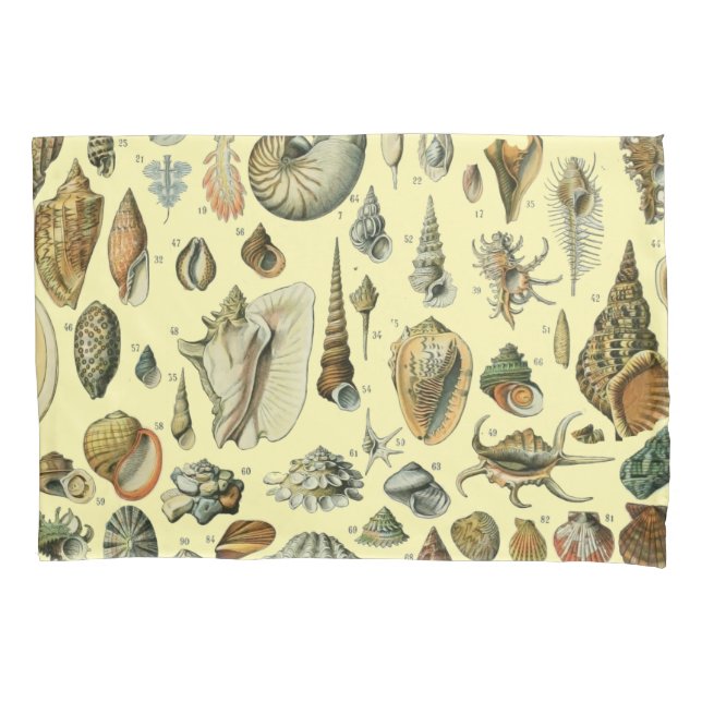 Seashell Shell Mollusk Clam Elegant Classic Art Pillowcase (Front)
