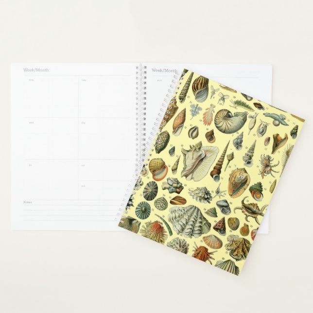 Seashell Shell Mollusk Clam Elegant Classic Art Planner (Display)