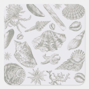 Seashell Soft Antique Art Beach Shells Square Sticker