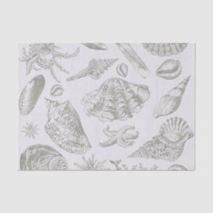 Seashell Soft Antique Art Beach Shells Tissue Paper
