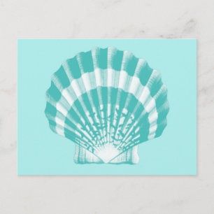 Seashell - soft aqua and white postcard