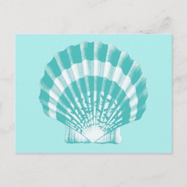 Seashell - soft aqua and white postcard (Front)