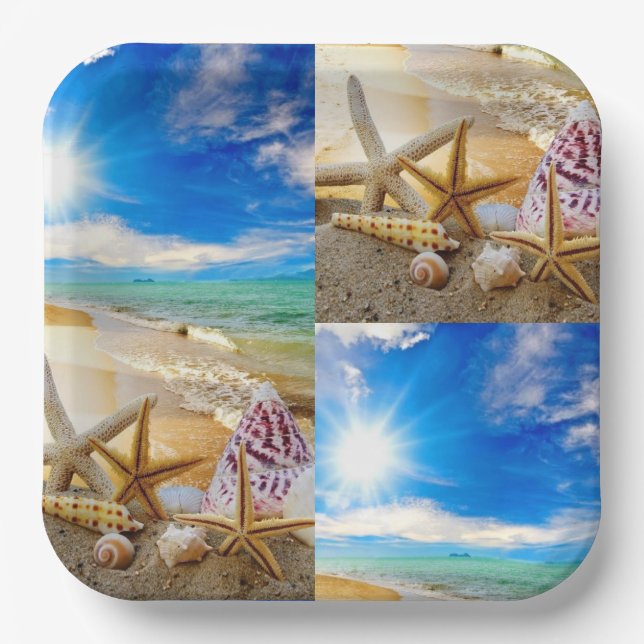 Seashell square Paper Plate (Front)