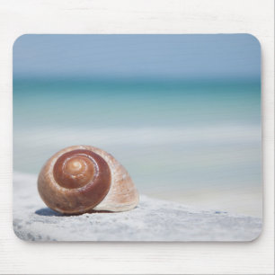 Seashell St. Petersburg, Florida Mouse Mat