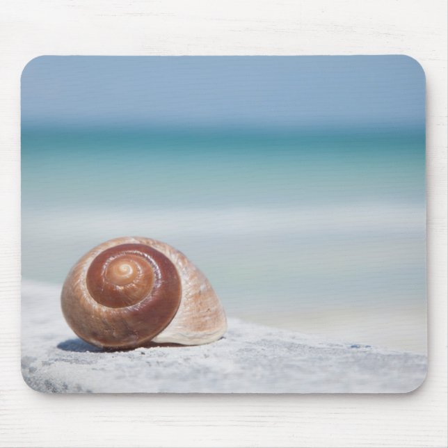Seashell | St. Petersburg, Florida Mouse Mat (Front)