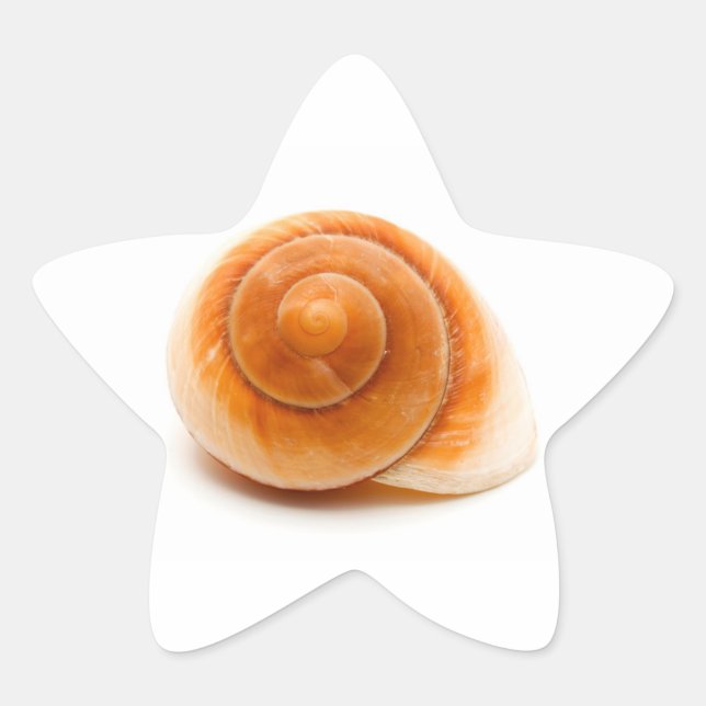 Seashell Star Sticker (Front)