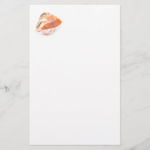 Seashell Stationery
