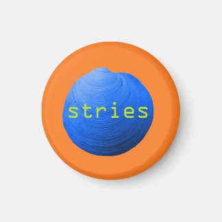 Seashell. Sters Magnet