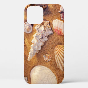 Seashell Still Life: Red Sunset. iPhone 12 Case