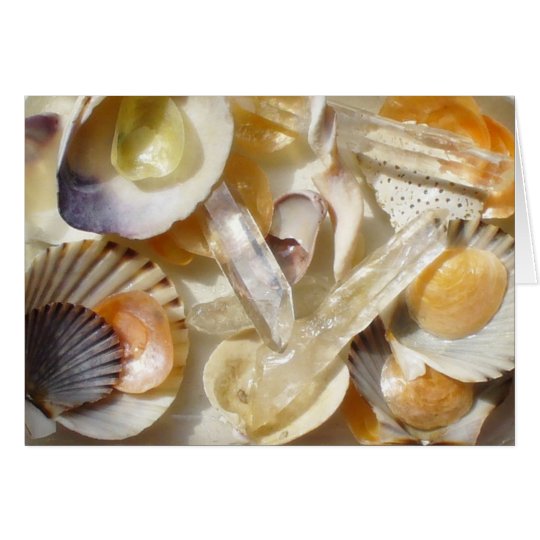 seashell sunlight card