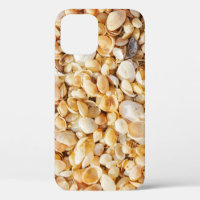 Seashell textured summer beach background.