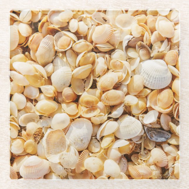 Seashell textured summer beach background. glass coaster (Front)