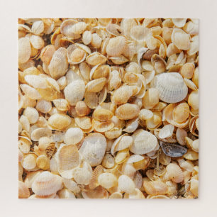 Seashell textured summer beach background. jigsaw puzzle