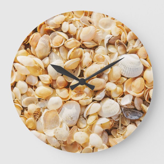 Seashell textured summer beach background. large clock (Front)