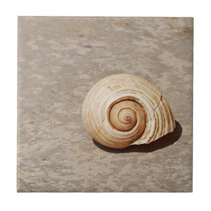 SeaShell Tile