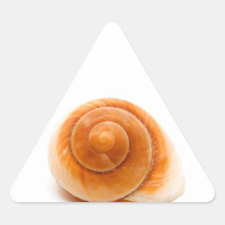 Seashell Triangle Sticker