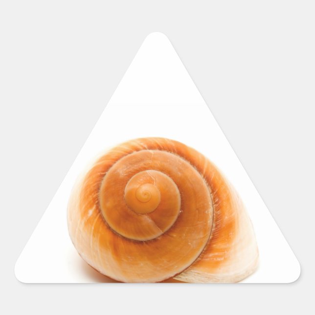 Seashell Triangle Sticker (Front)