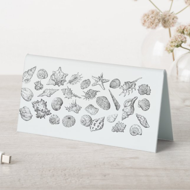 Seashells (In SItu (Table))
