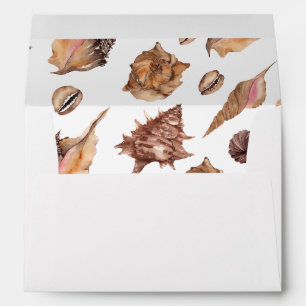 Seashells 2 envelope