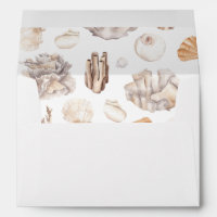 Seashells 3