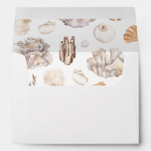 Seashells 3 envelope