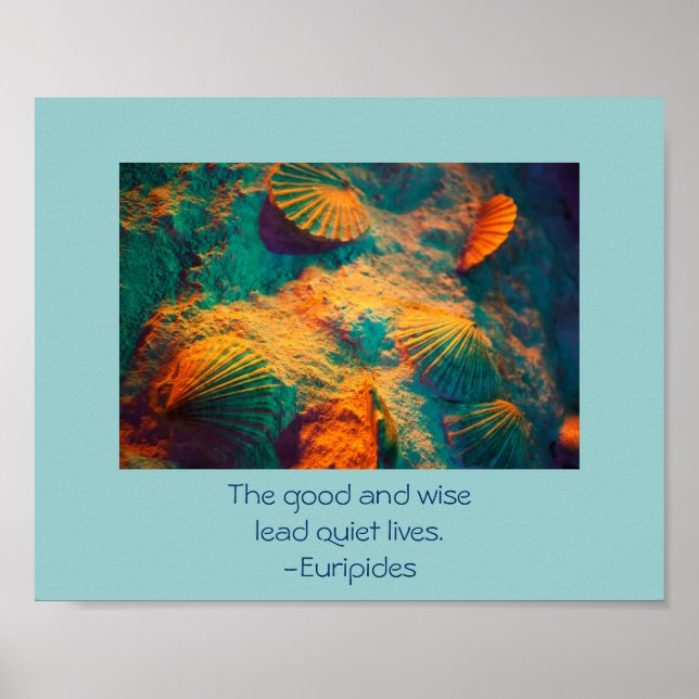 Seashells and Sand Poster (Front)