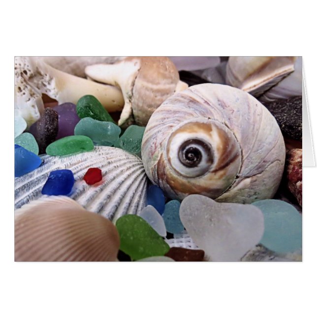Seashells and Sea Glass (Front Horizontal)