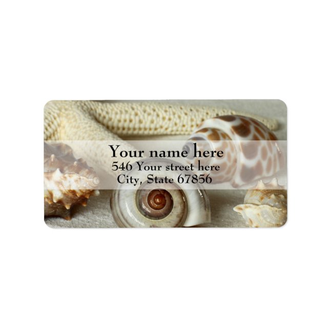 Seashells and Starfish Address Labels (Front)