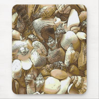 Seashells at the Beach