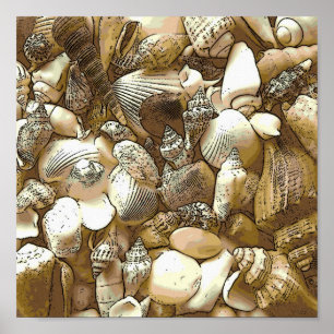 Seashells at the Beach Poster