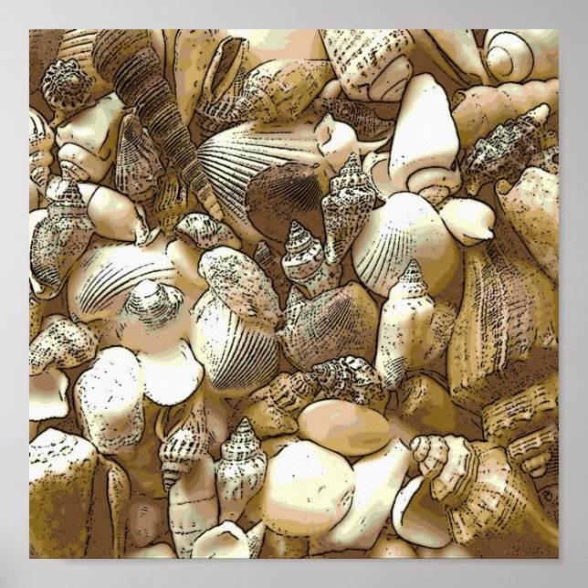 Seashells at the Beach Poster (Front)