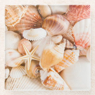 Seashells background: marine theme. glass coaster