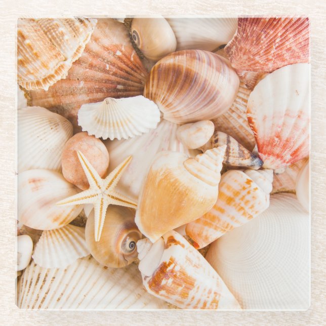 Seashells background: marine theme. glass coaster (Front)